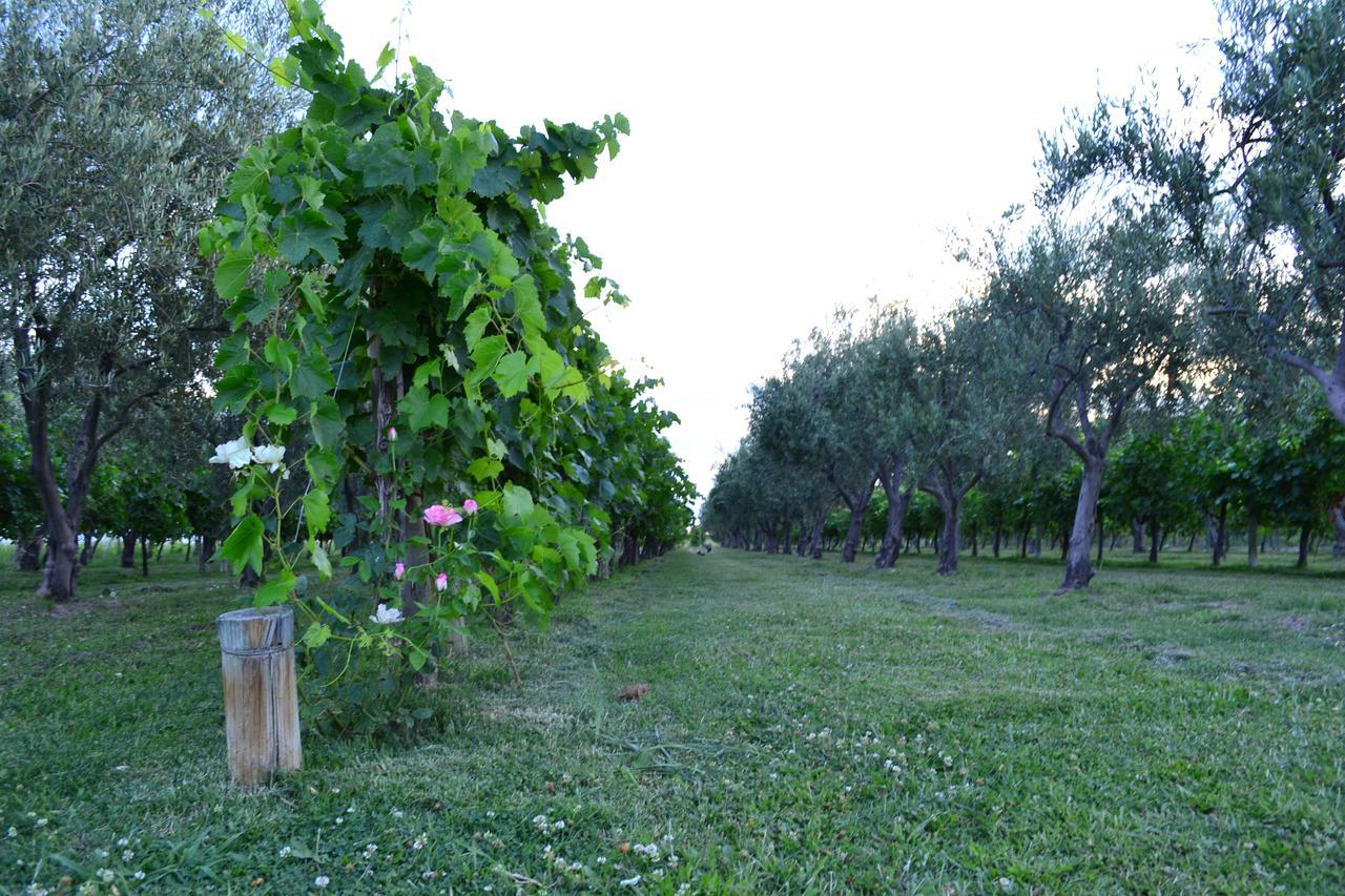 Finca Fisterra Maipú 外观 照片