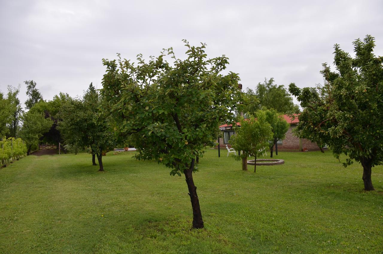 Finca Fisterra Maipú 外观 照片