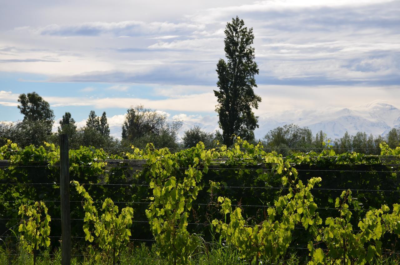 Finca Fisterra Maipú 外观 照片