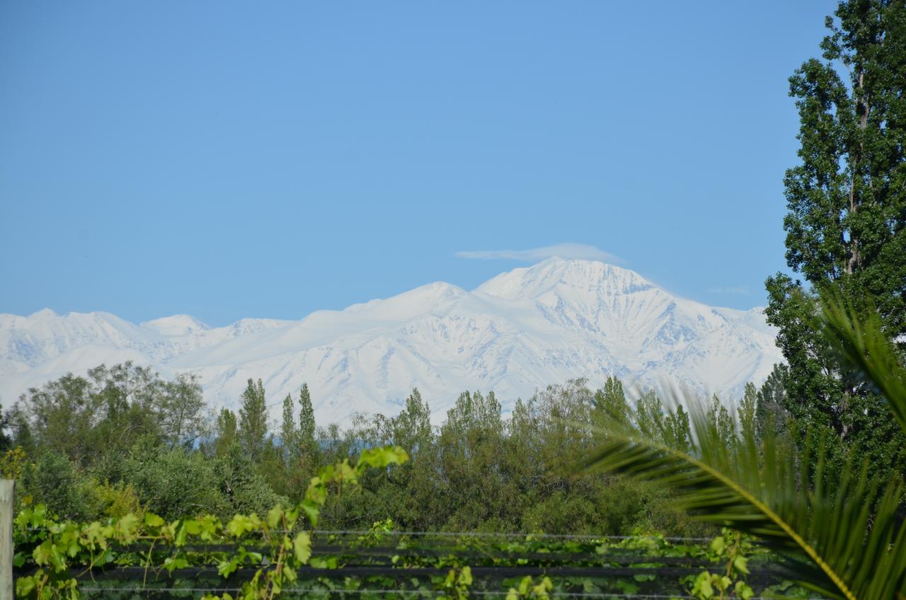 Finca Fisterra Maipú 外观 照片