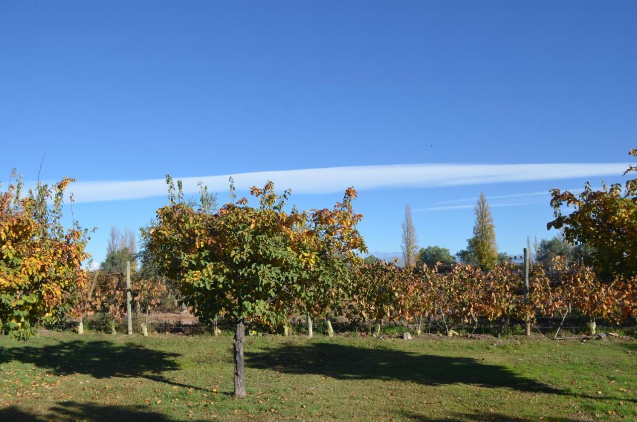Finca Fisterra Maipú 外观 照片