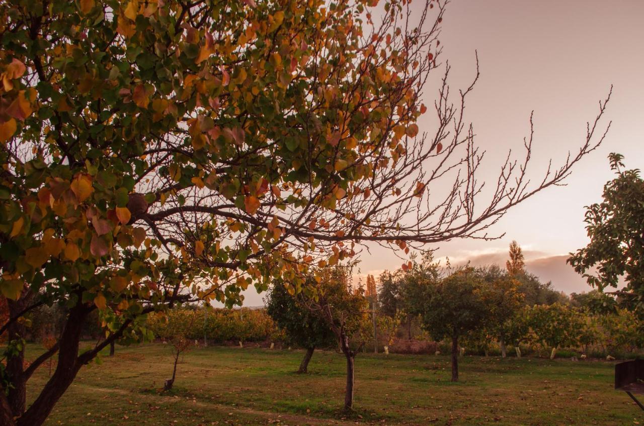 Finca Fisterra Maipú 外观 照片